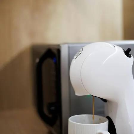 Cosy Nest Coresi アパート ブラショフ