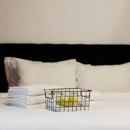 Apartment Cosy Nest Coresi *