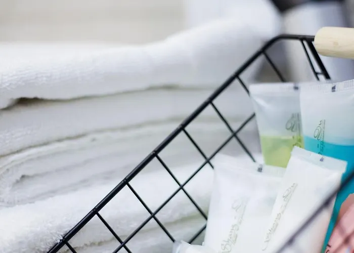 Cosy Nest Coresi Apartament